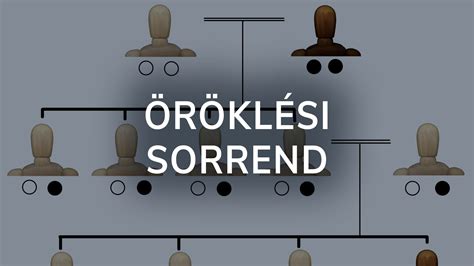 Az öröklési eljárás lépései ábra