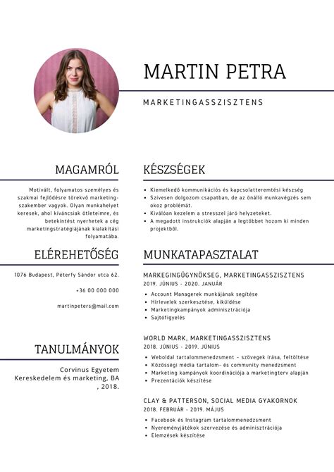 Egy írói önéletrajz borítója