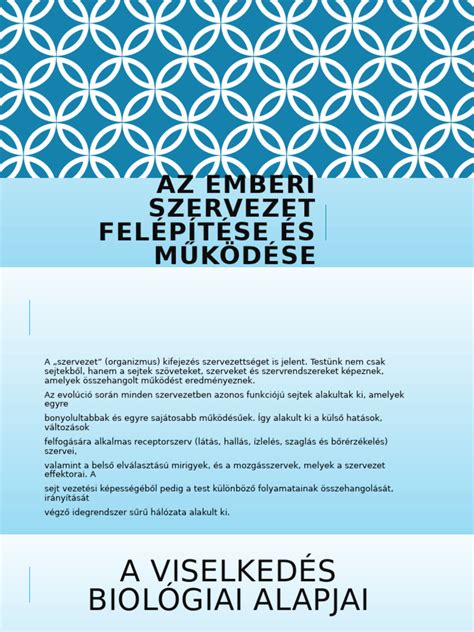 A nyelvvizsgarendszer felépítése és akkreditációja