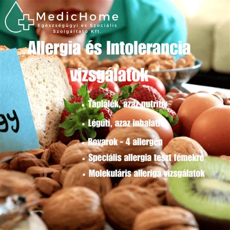 Infografika a burgonya allergia és intolerancia tüneteiről