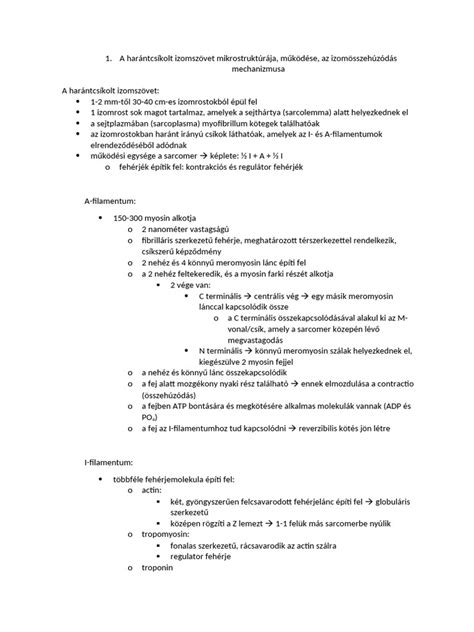 Az erekció mechanizmusa