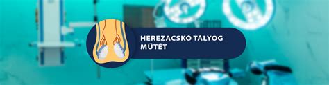 Herezacskó és herék anatómiája