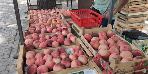 Őszibarackok a piacon