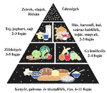 Élelmiszerpiramis