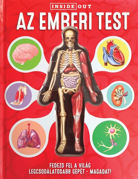 Az emberi test kollagénszerkezetének vázlatos ábrázolása