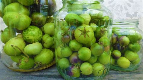 Zöld paradicsomok befőttes üvegben