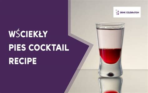 Wsciekly Pies koktél rétegesen egy shot pohárban
