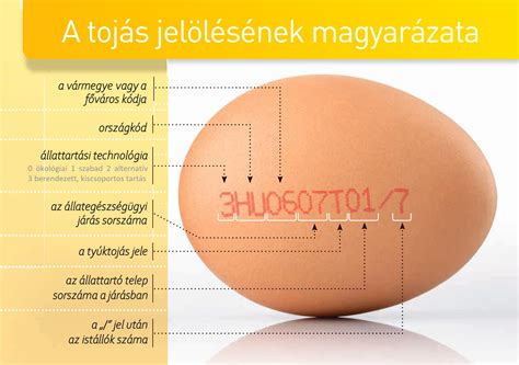 A tojás jelölésének felépítése