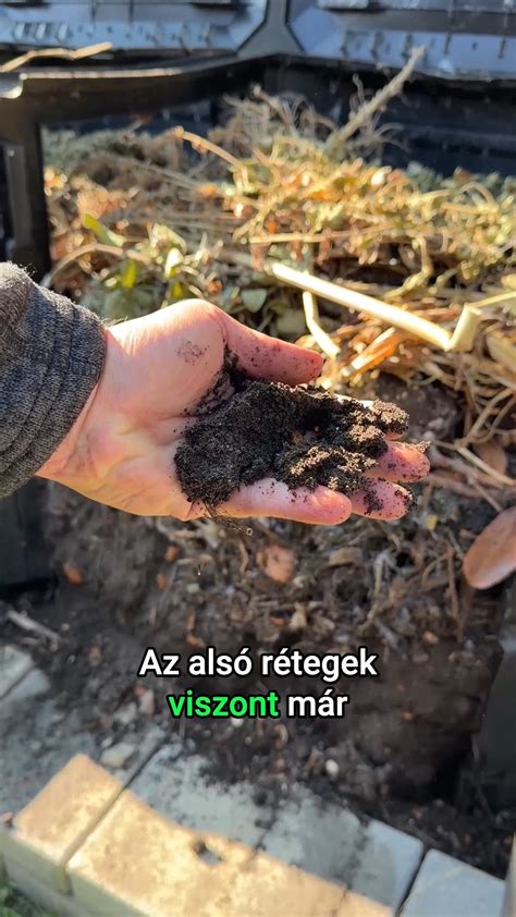 Burgonyatermesztés magaságyásban