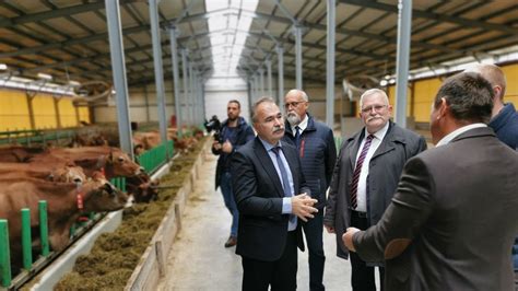 Modern tejfeldolgozó üzem