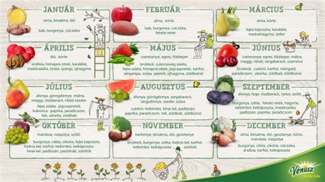Szezonális zöldségek és gyümölcsök