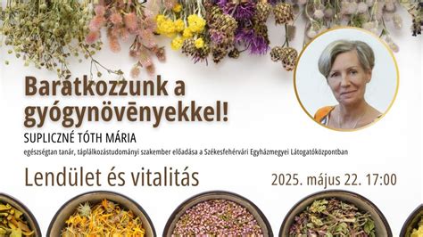 Válogatott gyógyteák szárított gyógynövényekkel