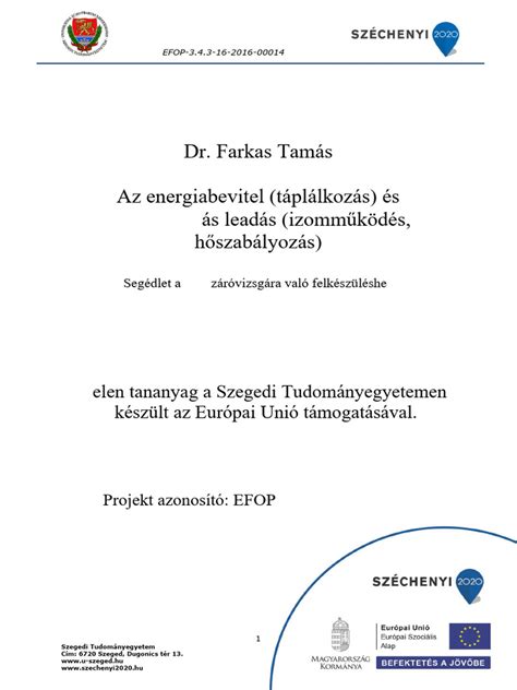Az energiabevitel és energiafelhasználás egyensúlyát szemléltető mérleg