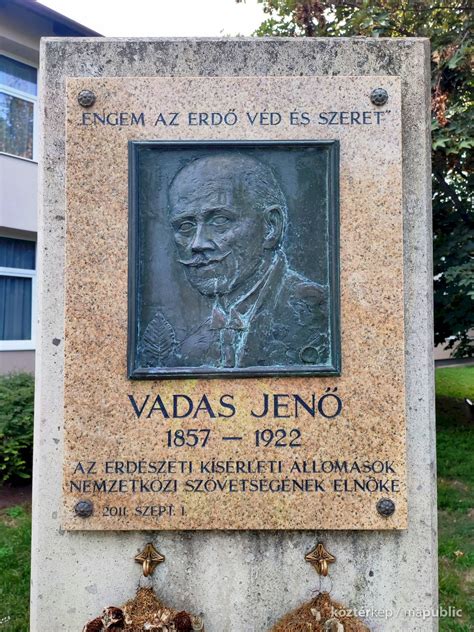 Vadas Jenő portréja és korabeli erdészeti eszközök