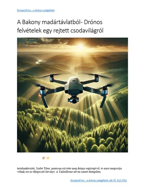 A fertőszéplaki sportpálya madártávlatból, rendezvény előkészítés alatt