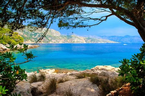 Mediterrán táj rozmaring bokrokkal