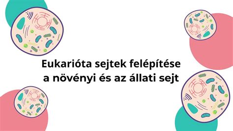 ősi evőkanalak illusztrációja
