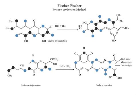 Fischer és Newman vetület összehasonlítása