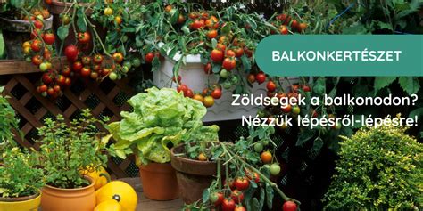 Kertészetben termesztett zöldségek