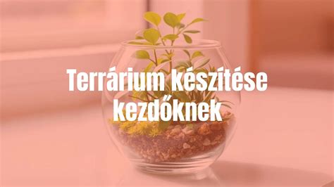 Bakhát készítése szabadföldi termesztéshez