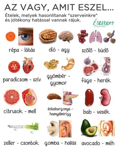 Ételek, amelyek gázképződést okozhatnak