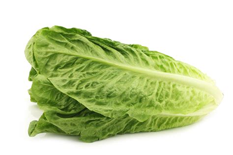 római saláta vitamin- és ásványianyag-tartalma