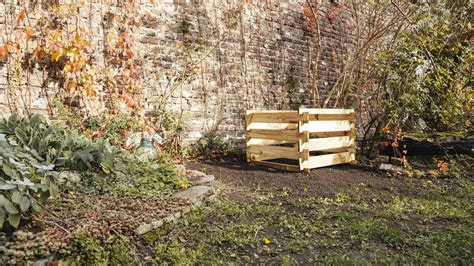 komposzthalom téli környezetben