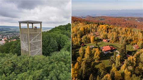 Komlói panoráma az Arborétummal