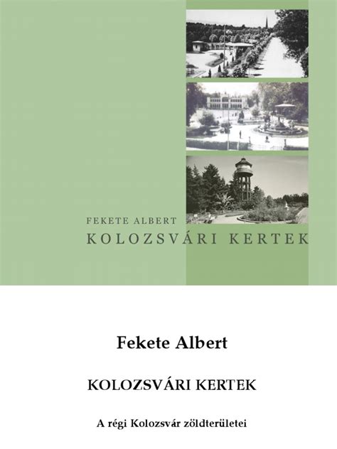 Kolozsvári piactér régi képe