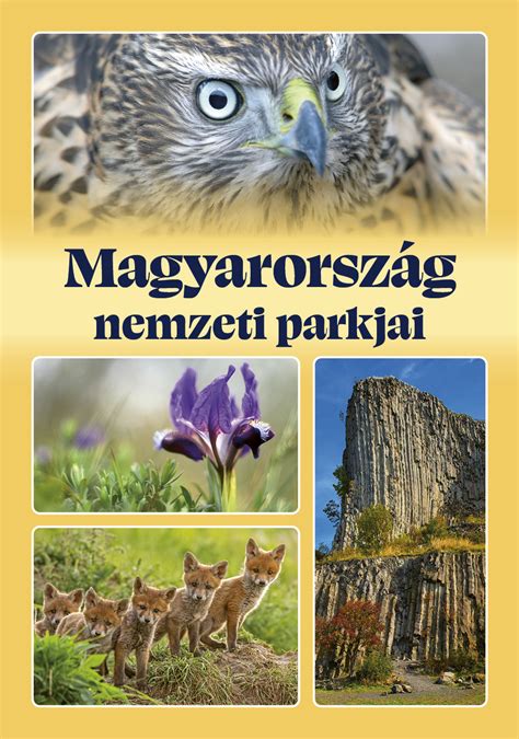 Magyarország nemzeti jelképeinek használata