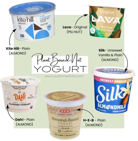 Various plant-based yogurt types