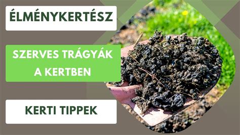 Hígtrágya kijuttatása a kertben