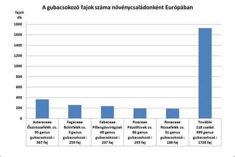 Feldolgozott zöldség-gyümölcs fajok arányát mutató grafikon