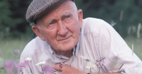 A Bükki Füvesember Szabó György portréja