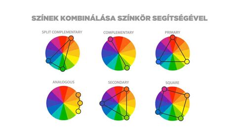 A normál színkör és a színtévesztők által látott színkörök