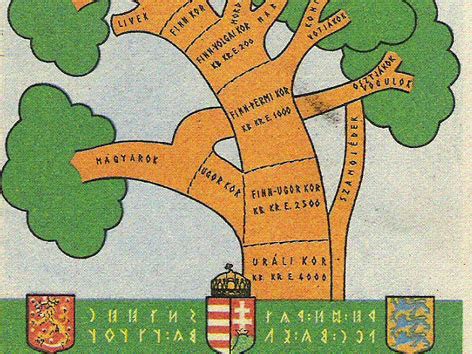 A finnugor nyelvek családfája