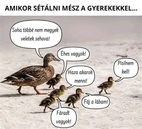 Vicces zöldségfigurák tányéron