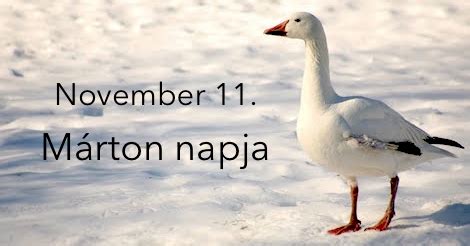 Márton napi lúd