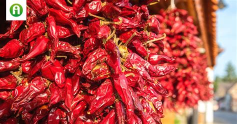 A fűszerpaprika őrlésének folyamata