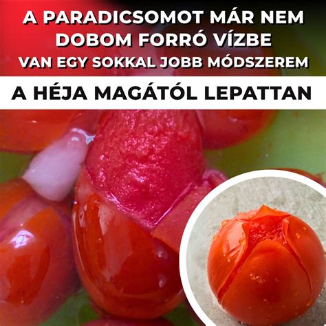 Káposztalevelek előkészítése forró vízben