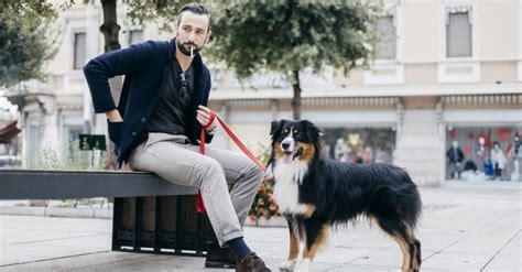 Különböző fajtájú vetőburgonyák