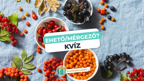 Példák ehető és nem ehető fagylaltdíszítésre