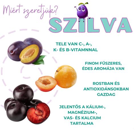 Szilva tápanyagtartalma infographic