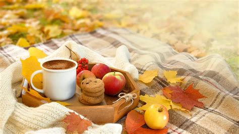 őszi reggeli hangulat