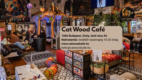 Cat Wood Café belső tér
