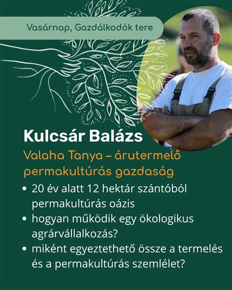 Permakultúrás gazdaság látképe változatos növényzettel