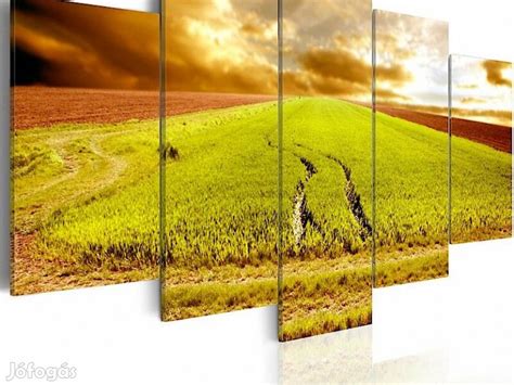 Búzaföld naplementekor