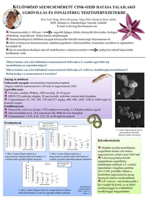 Különböző szemcseméretű lisztminták