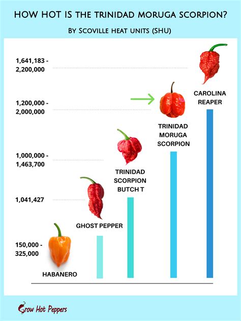 Trinidad Moruga Scorpion chili paprika