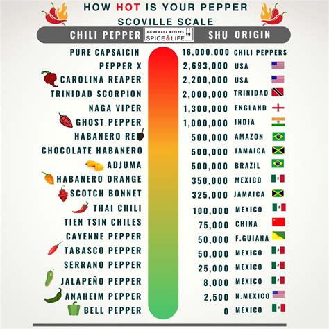 A 10 legerősebb chili paprika listája SHU értékekkel